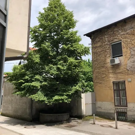 Cross Street 4 卢布尔雅那