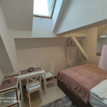 Cross Street 4 卢布尔雅那