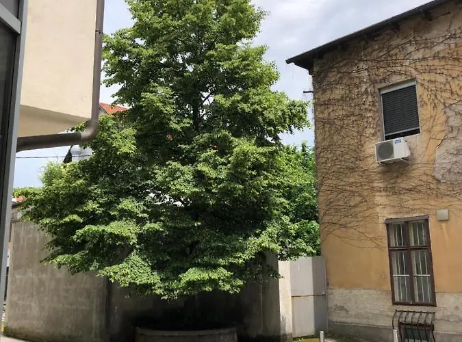 Cross Street 4 Ljubljana