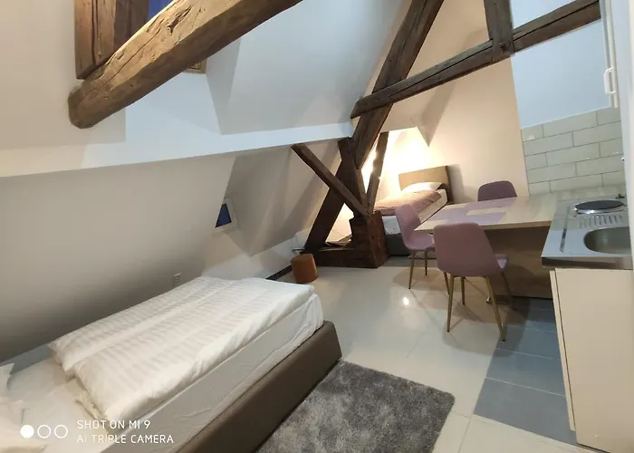 Cross Street 4 Πανσιόν Λιουμπλιάνα