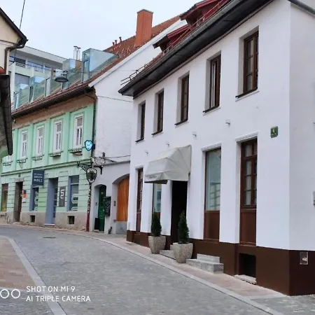 Cross Street 4 3* Lublana